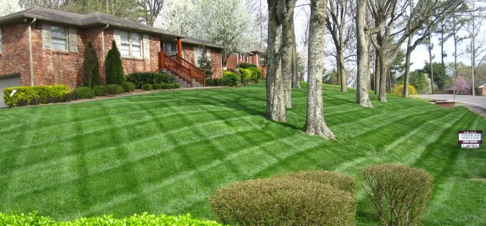 Local outdoor landscaping experts serving Argo, AL - Mighty Green Lawn Care