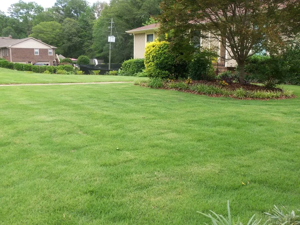 Top-rated landscaping services near you across Argo, AL - Mighty Green Lawn Care