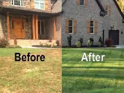 Affordable lawn care service in Argo, AL by Mighty Green Lawn Care
