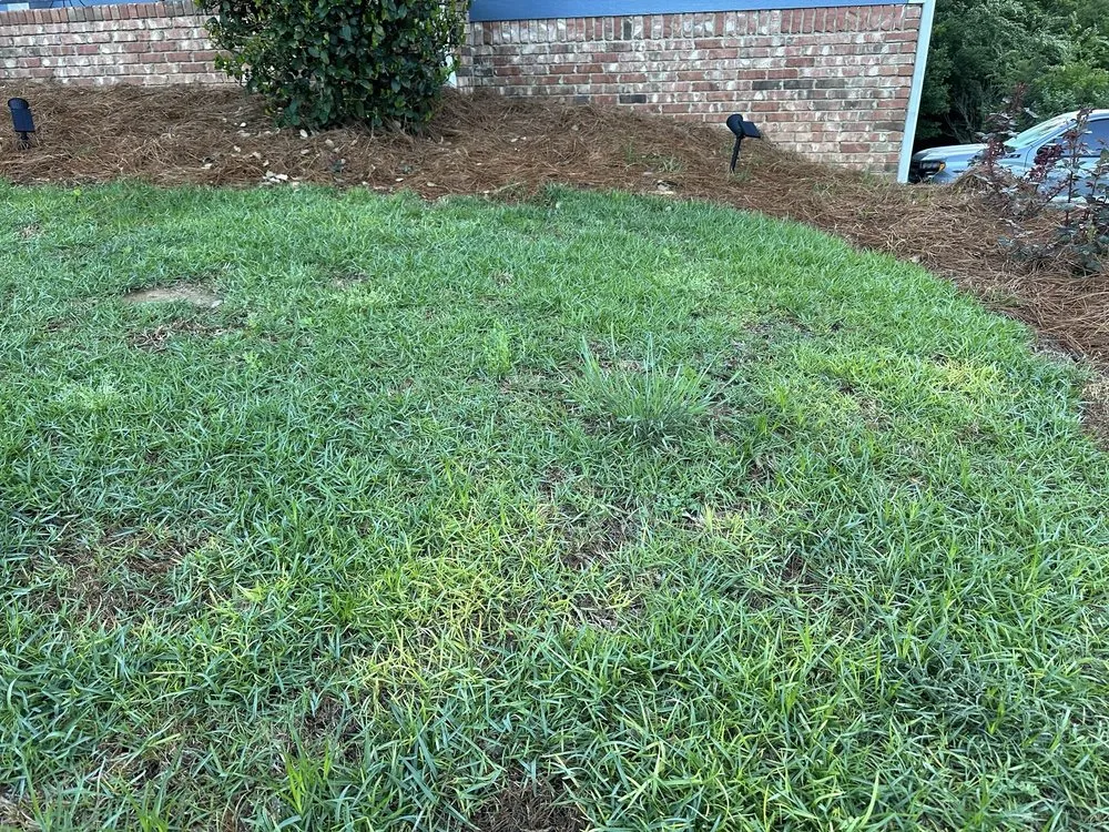 Trusted yard cleanup service with custom design in Argo, AL by Mighty Green Lawn Care