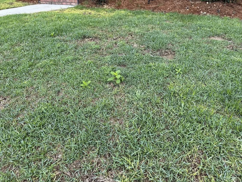 Professional lawn care service near you in Argo, AL by Mighty Green Lawn Care