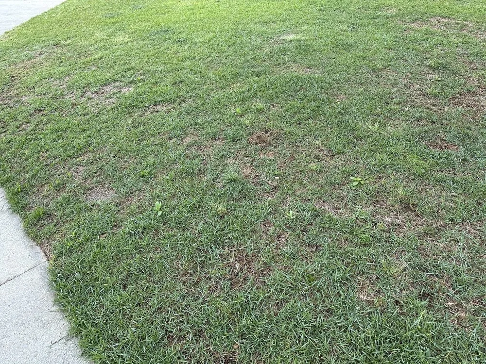 Top-rated residential landscaping for homes across Argo, AL - Mighty Green Lawn Care