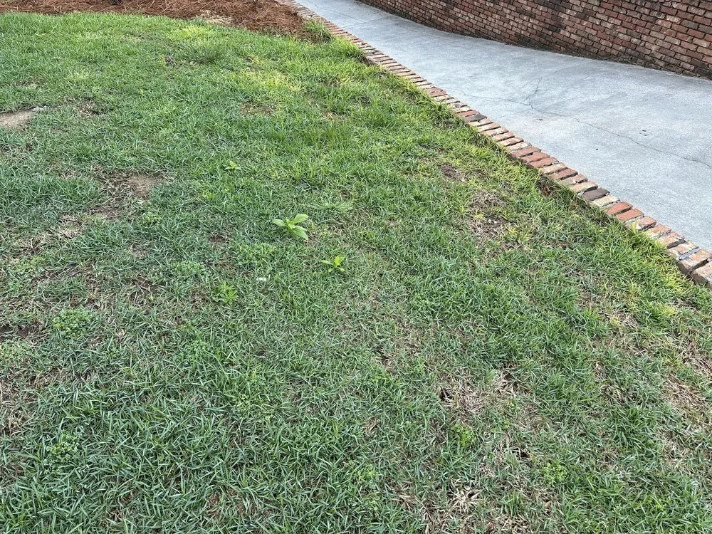 Expert landscaping services in Argo, AL by Mighty Green Lawn Care