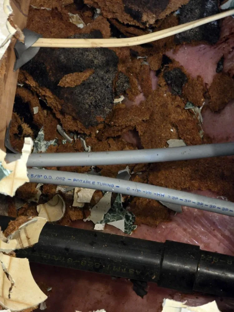 Expert residential landscaping experts serving Buffalo, MN - Mighty Hands