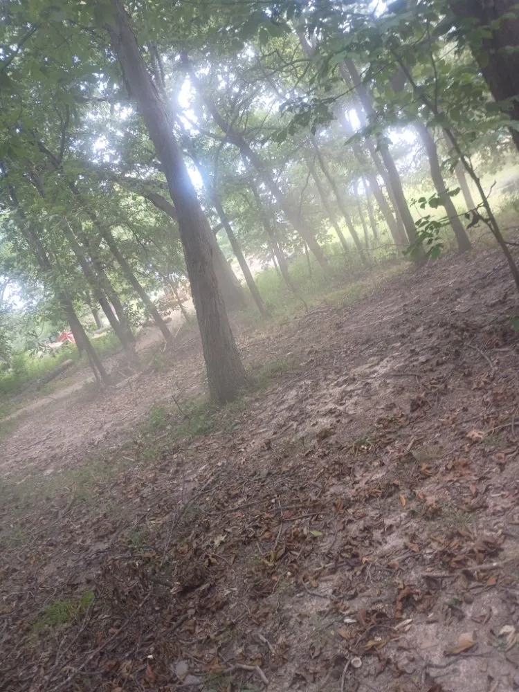 Top-rated lawn mowing service in Litchfield, IL by Mighty Handz Does It All