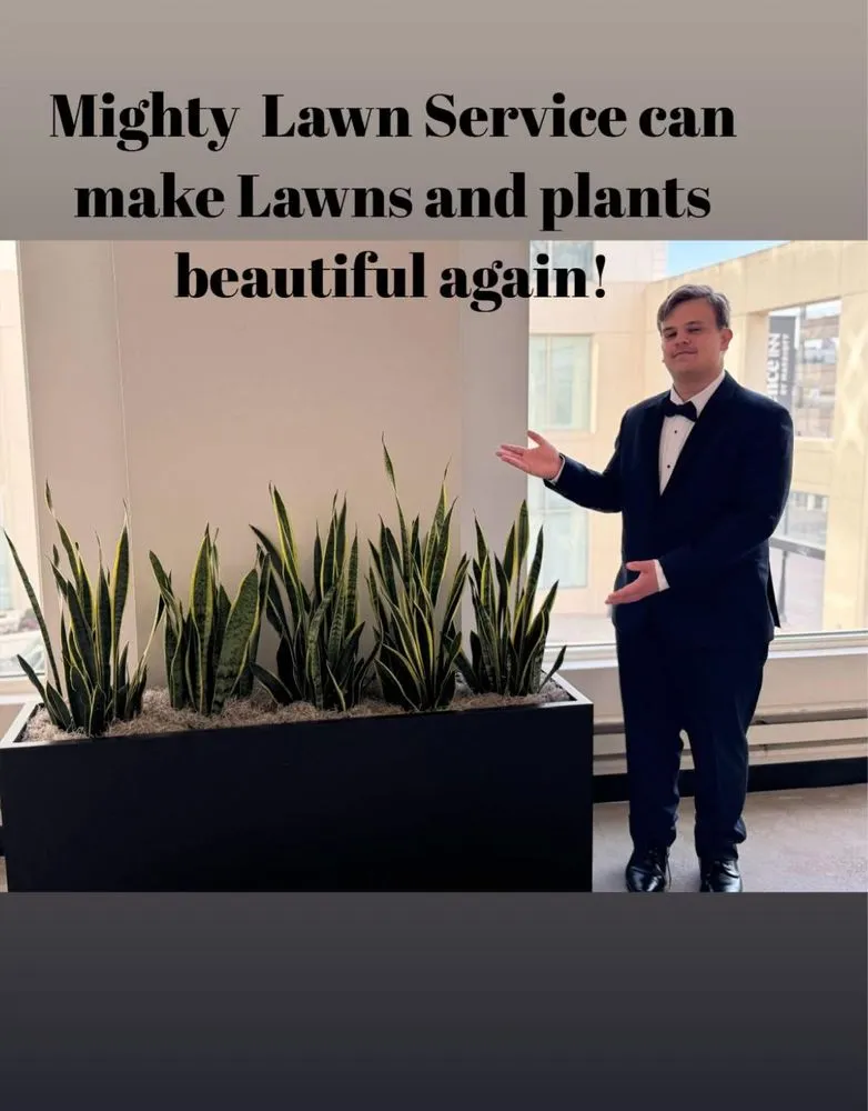 Local lawn care service experts serving Milwaukee, WI - Mighty Lawn Service