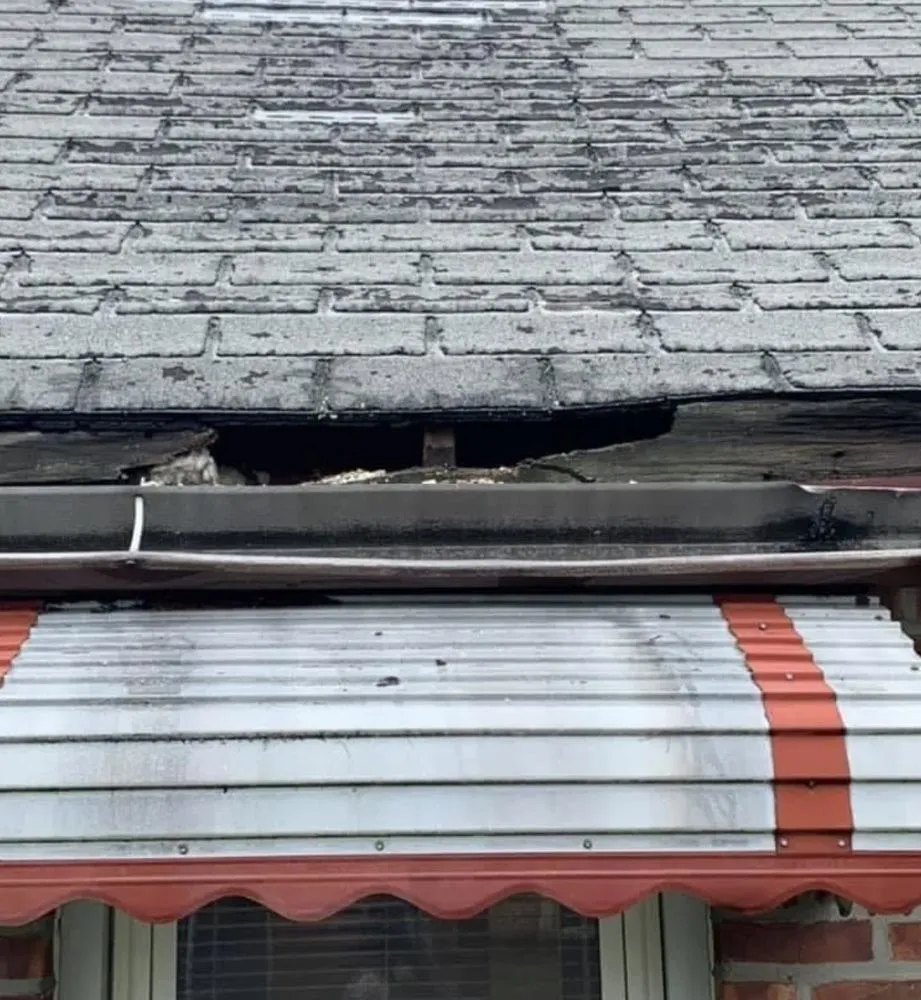 Professional garden landscaping experts serving Flushing, NY - Mighty Man