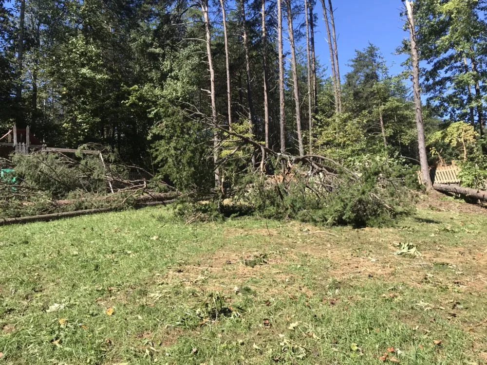 Trusted landscaping services for year-round maintenance across Oak Ridge, NC - Mighty Mouse Services