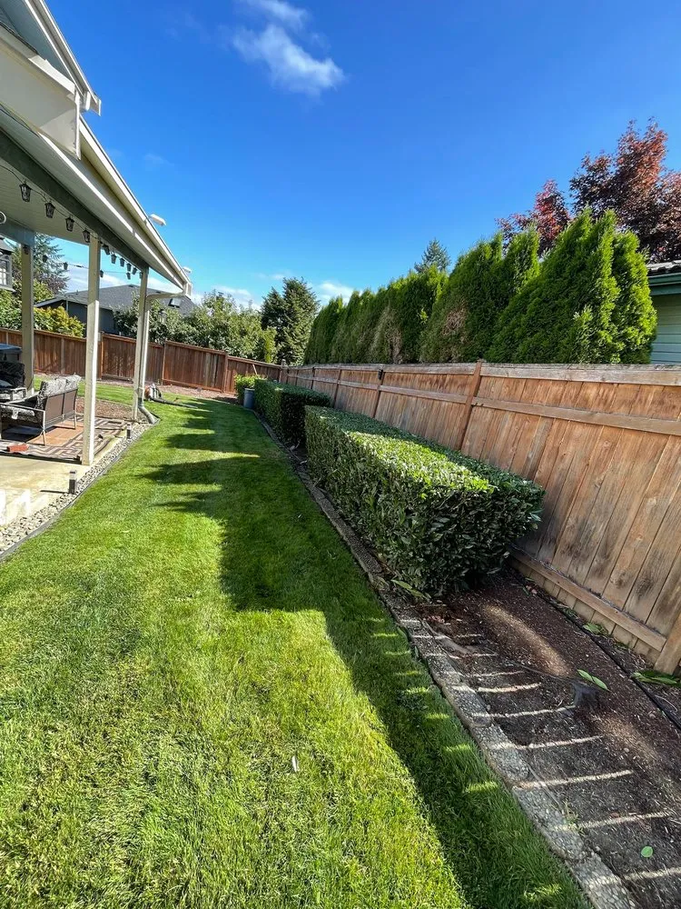 Reliable landscape installation in Auburn, WA - Mighty Mow