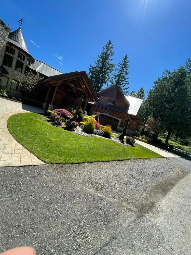 Trusted yard cleanup service near you in Auburn, WA by Mighty Mow