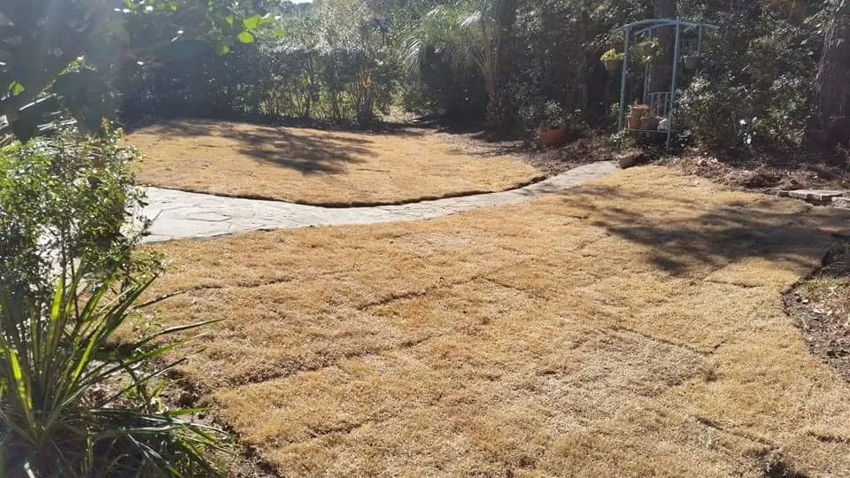 Local lawn mowing service near you in Saint George, SC by Mighty Mow Landscaping & Lawn Care