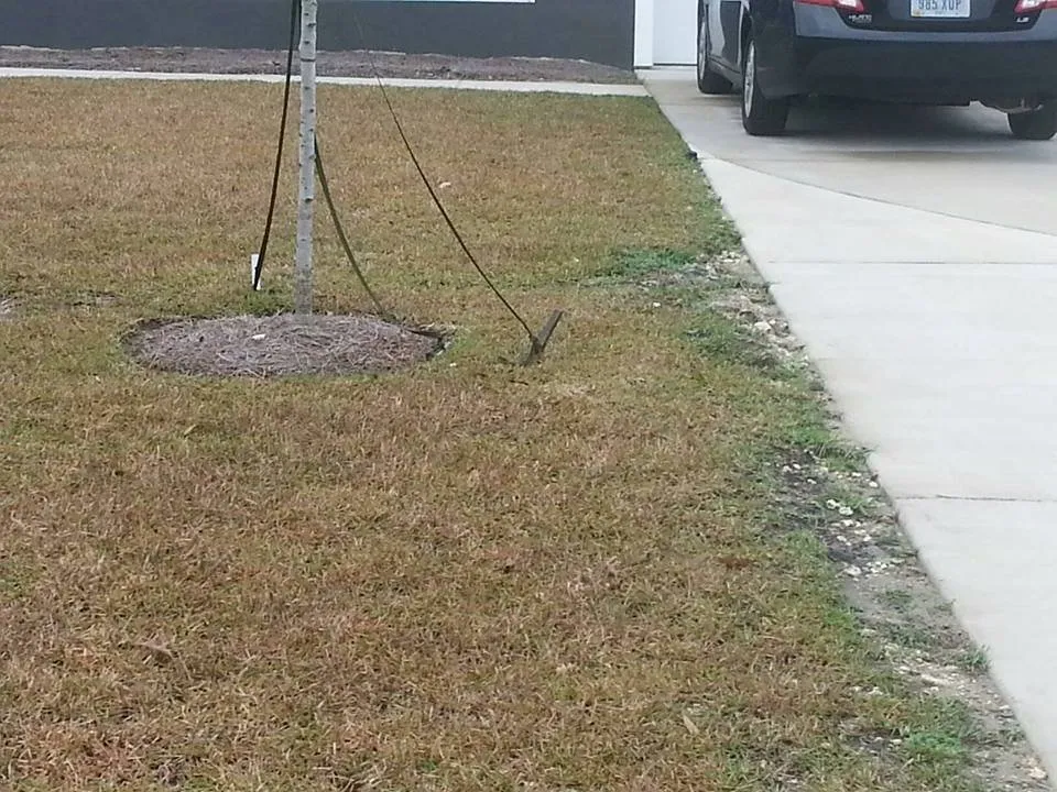 Reliable lawn care service in Saint George, SC - Mighty Mow Landscaping & Lawn Care