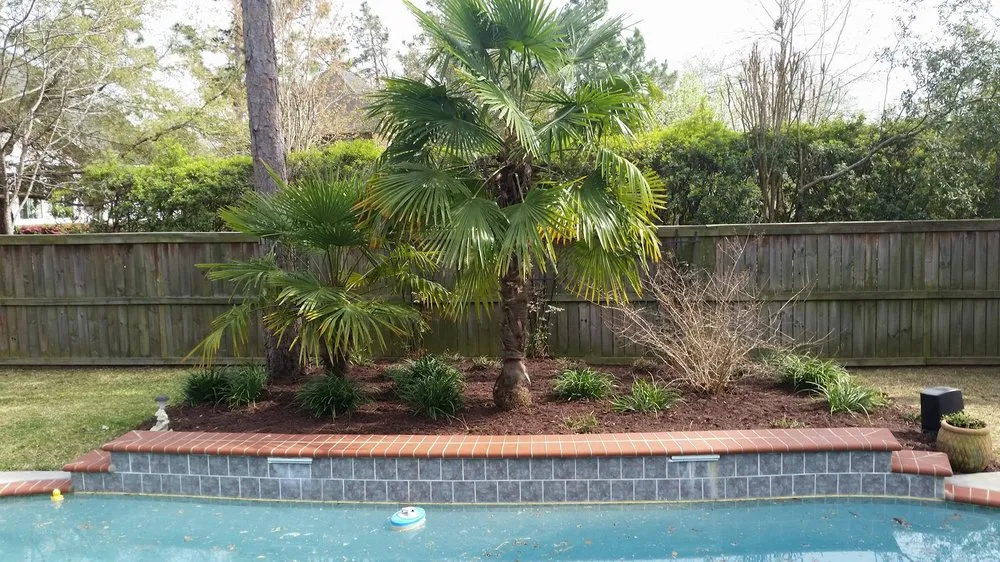 Local lawn care service in Saint George, SC - Mighty Mow Landscaping & Lawn Care