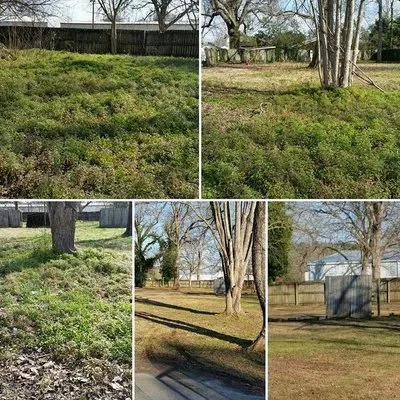 Mighty Mow Landscaping & Lawn Care