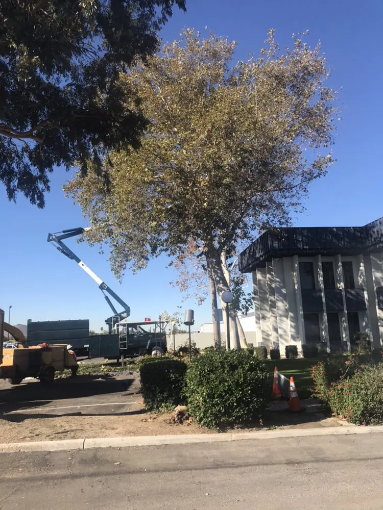 Reliable garden landscaping for year-round maintenance in Long Beach, CA by Mighty Mow Landscaping