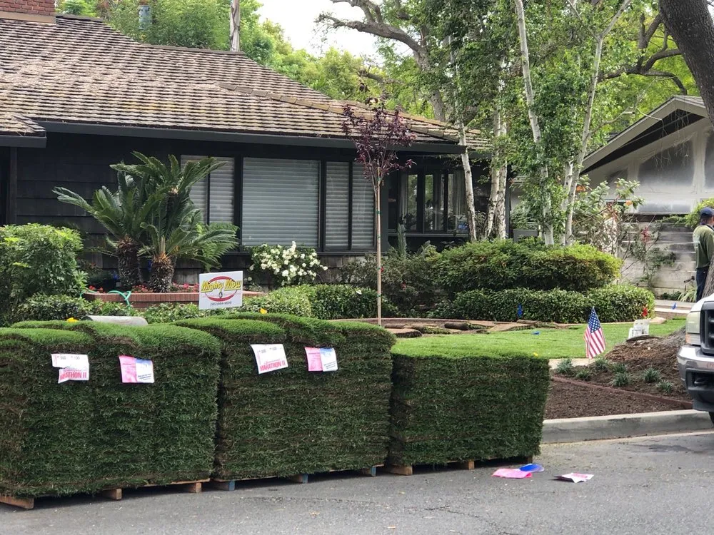 Expert lawn care service in Long Beach, CA by Mighty Mow Landscaping