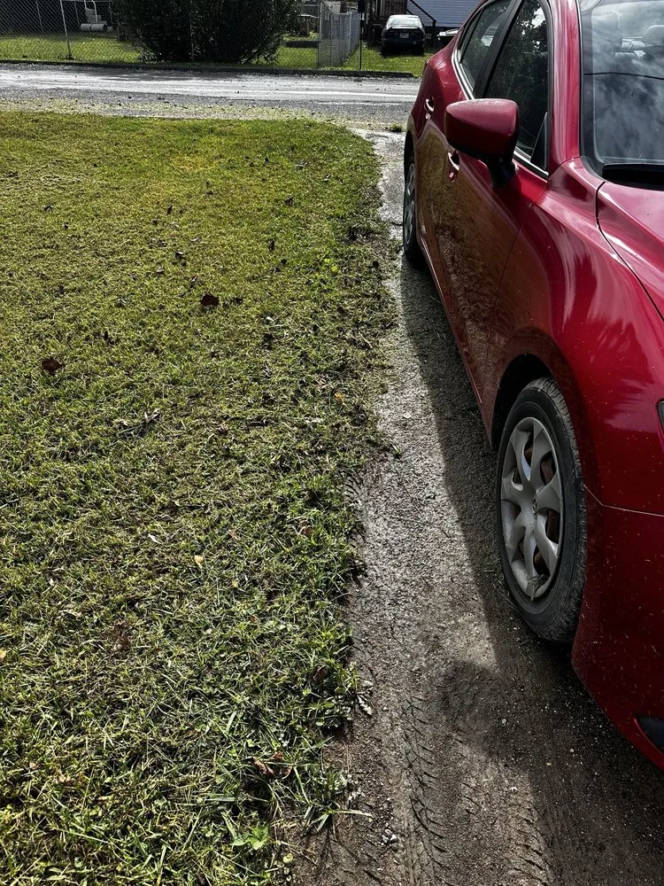 Reliable yard cleanup service in Dandridge, TN by Mighty Mowers