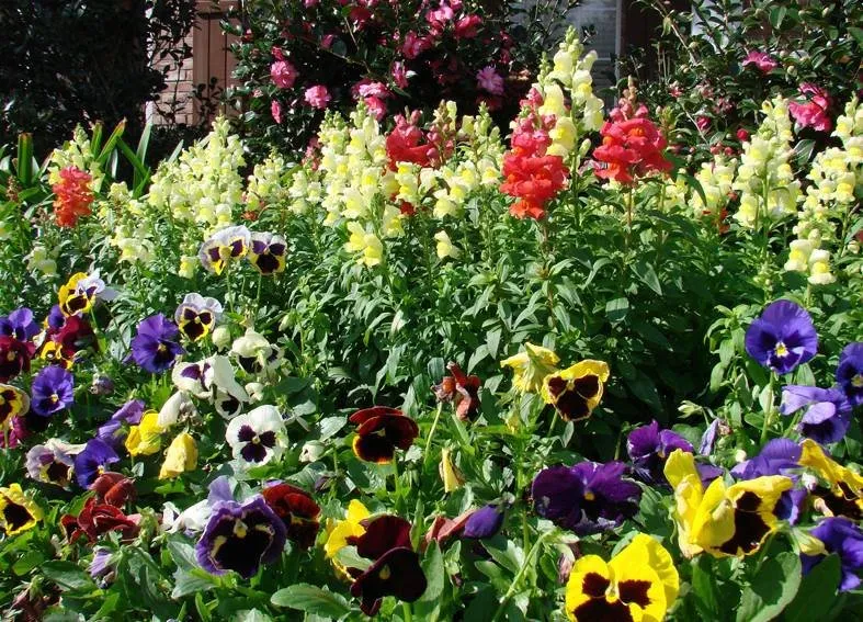 Trusted lawn care service in Harvey, LA by Mighty Mowers Lawn & Landscape