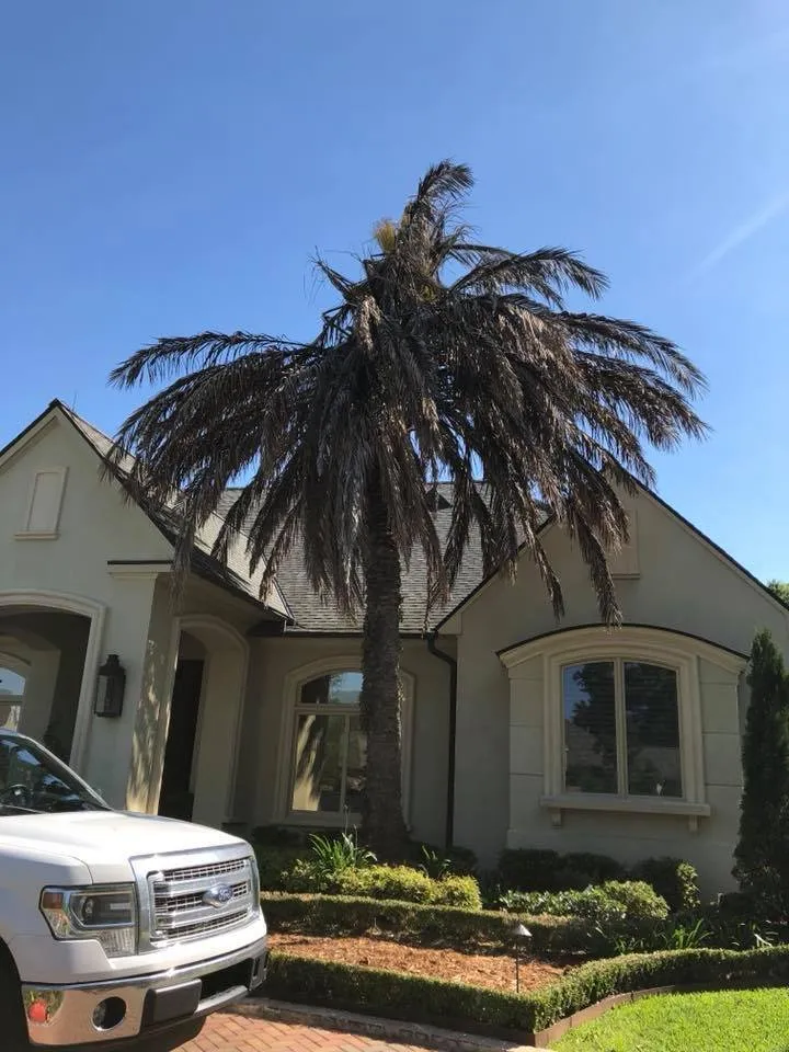 Top-rated landscape design for residential properties across Harvey, LA - Mighty Mowers Lawn & Landscape