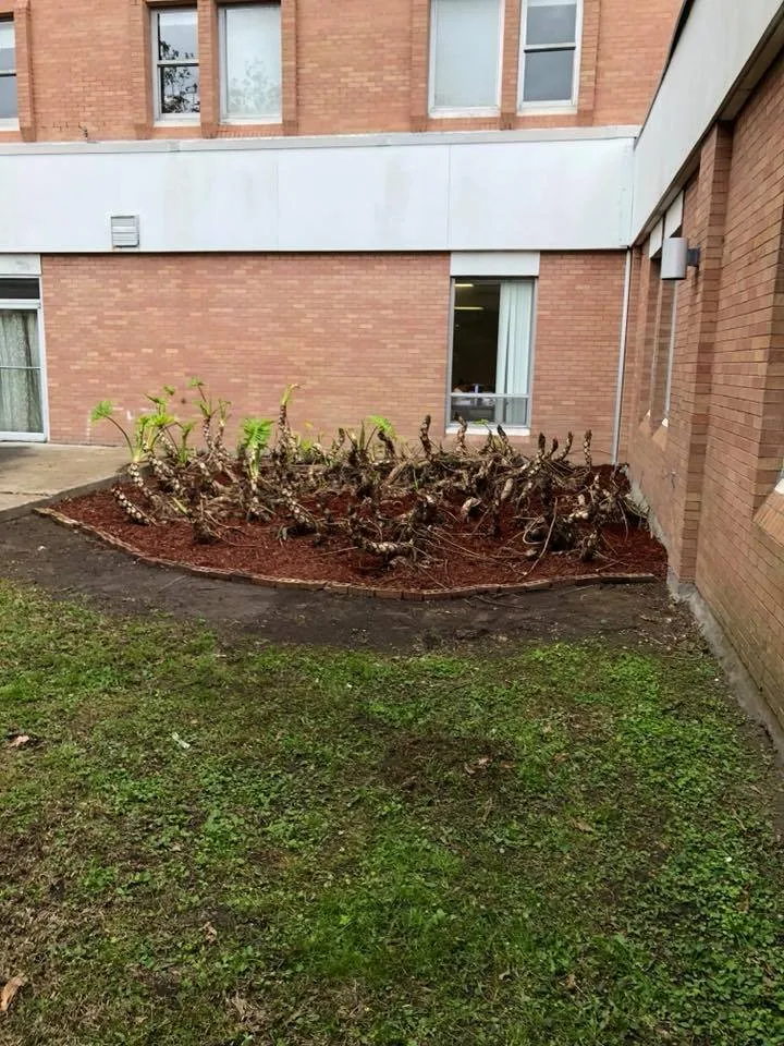 Reliable landscaping services for beautiful yards across Harvey, LA - Mighty Mowers Lawn & Landscape