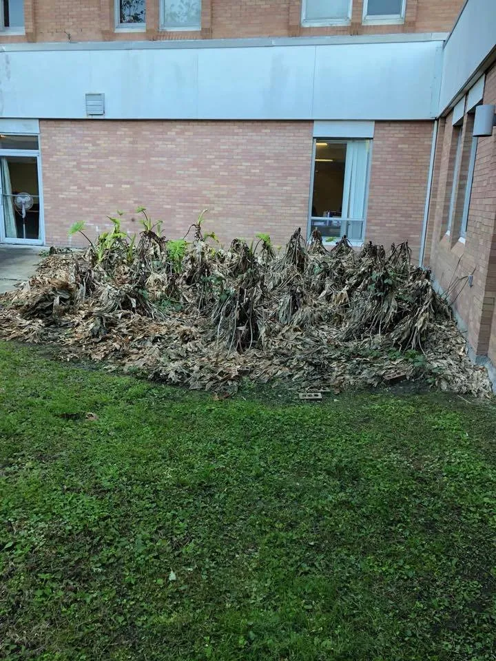 Reliable landscaping services in Harvey, LA - Mighty Mowers Lawn & Landscape