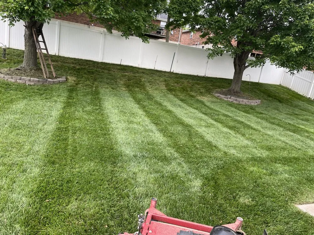 Affordable lawn mowing service for year-round maintenance in Saint Charles, MO by Mighty Mowers Lawn and Landscape