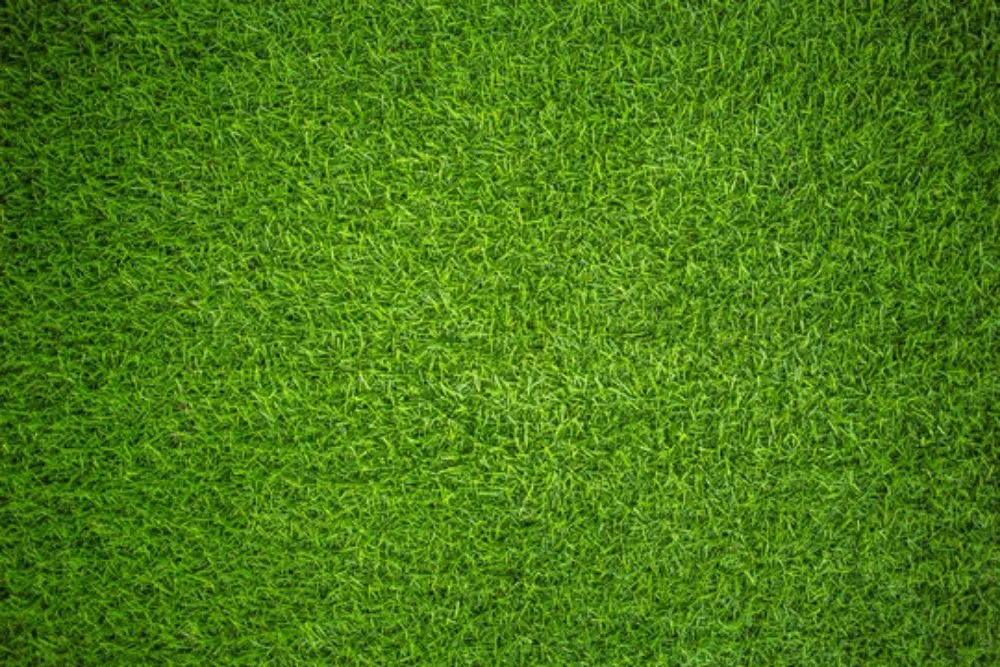 Reliable garden landscaping in Millwood, VA - Mighty Mowers