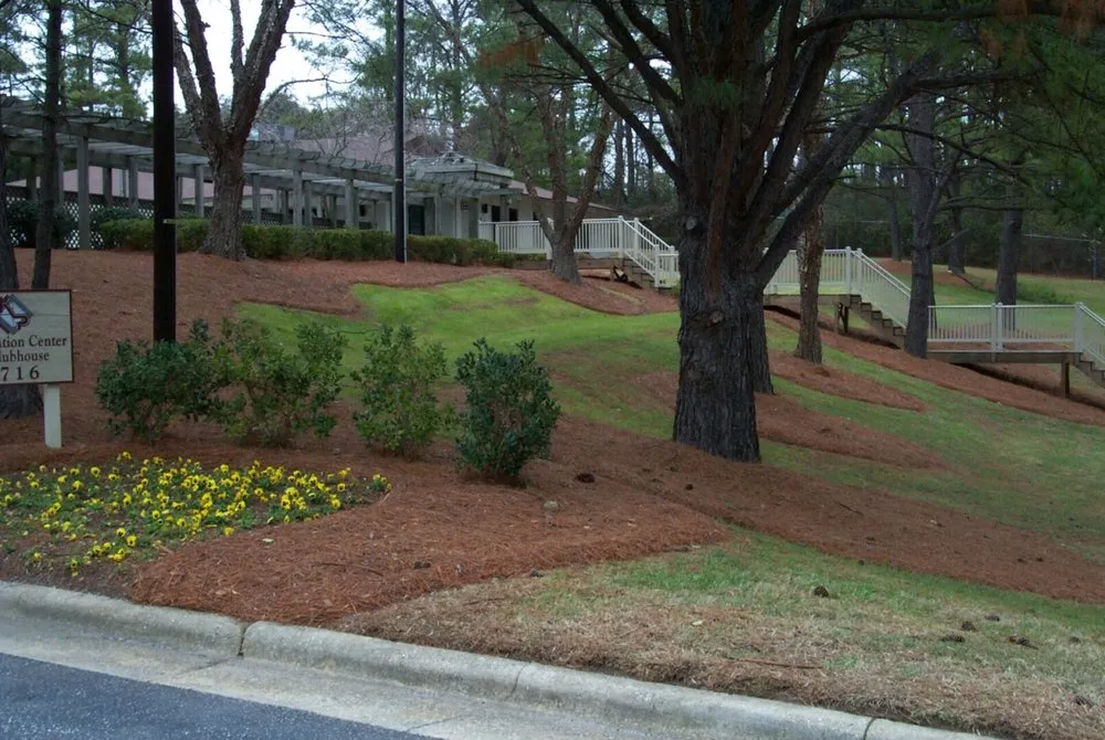 Reliable yard cleanup service in Suwanee, GA - Mighty Oak Landscaping