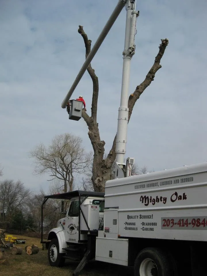 Reliable residential landscaping experts serving Stratford, CT - Mighty Oak Tree & Lawn Care