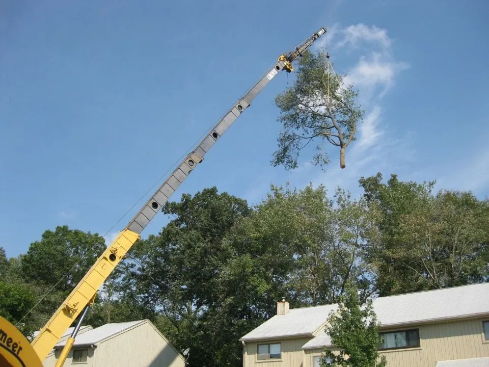 Professional landscape design near you across Stratford, CT - Mighty Oak Tree & Lawn Care