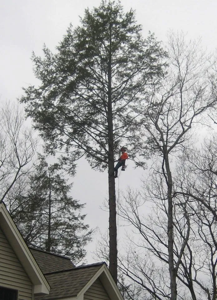 Affordable lawn mowing service in Stratford, CT by Mighty Oak Tree & Lawn Care