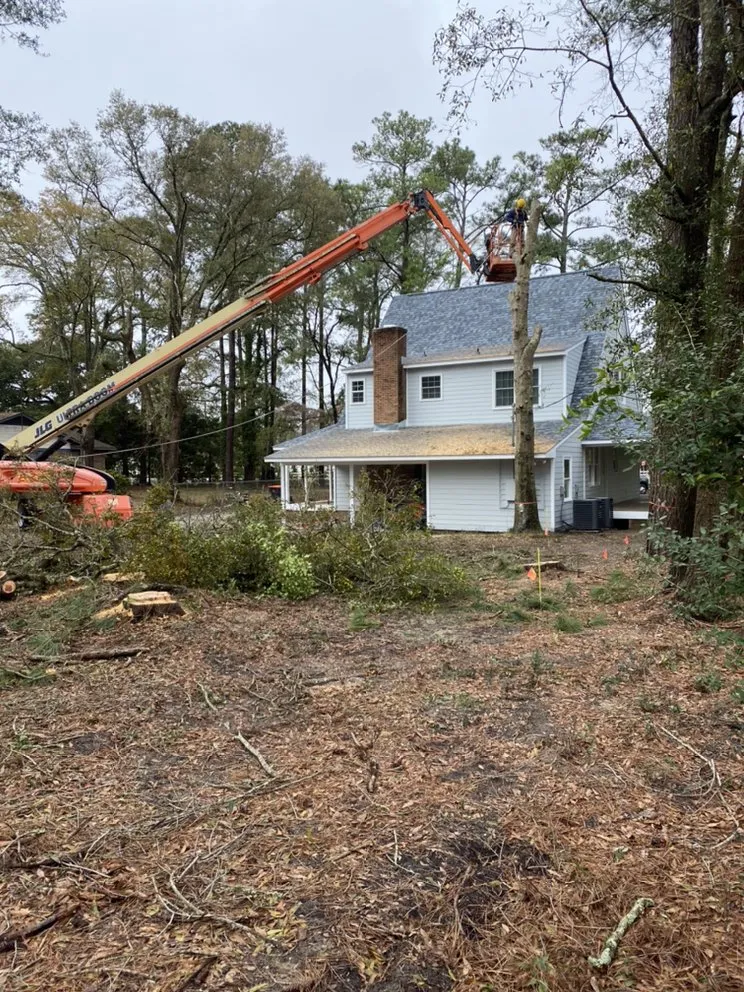 Top-rated outdoor landscaping for beautiful yards in Wilmington, NC by Mighty Oak