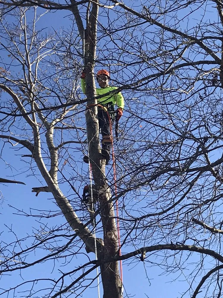 Reliable landscape design in Wilmington, NC - Mighty Oak