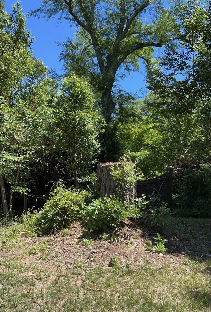 Professional garden landscaping experts serving Wilmington, NC - Mighty Oak