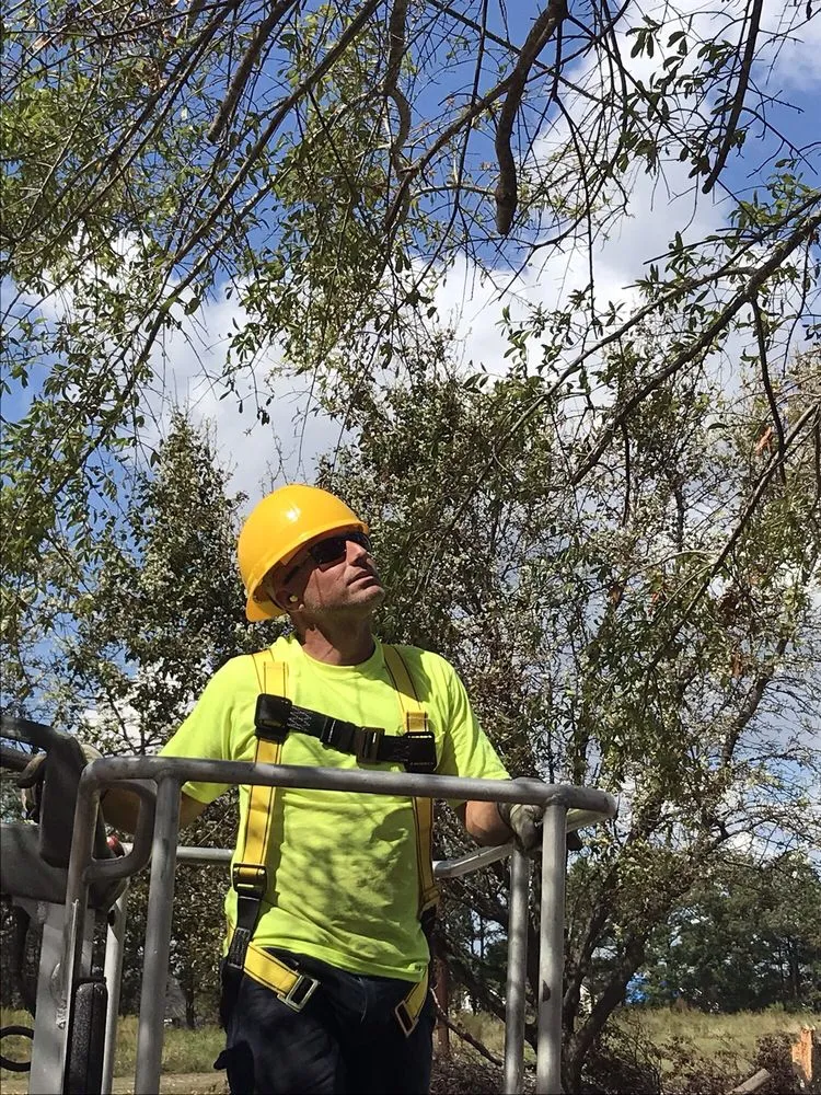 Affordable landscape design experts serving Wilmington, NC - Mighty Oak