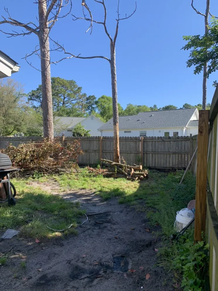 Affordable landscape design for homes across Wilmington, NC - Mighty Oak