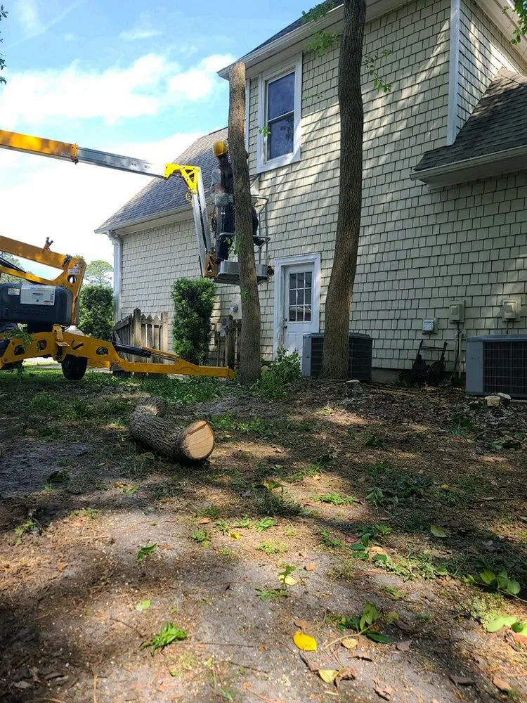 Expert landscape installation for beautiful yards in Wilmington, NC by Mighty Oak