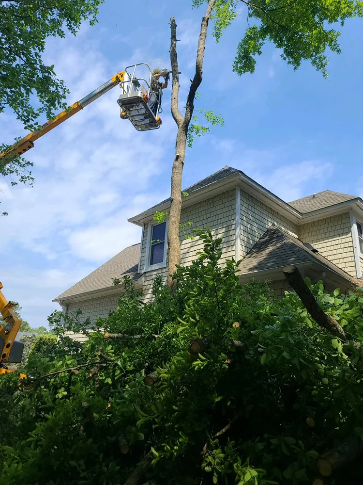 Custom yard maintenance experts serving Wilmington, NC - Mighty Oak