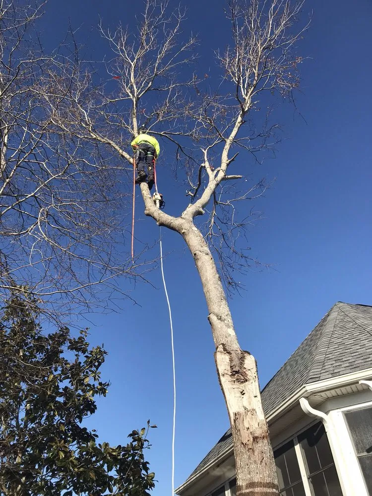 Custom residential landscaping for outdoor upgrades in Wilmington, NC by Mighty Oak