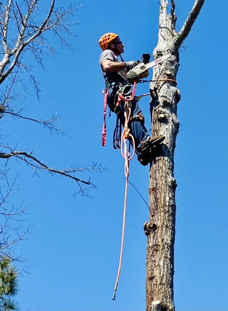 Expert residential landscaping for residential properties across Wilmington, NC - Mighty Oak