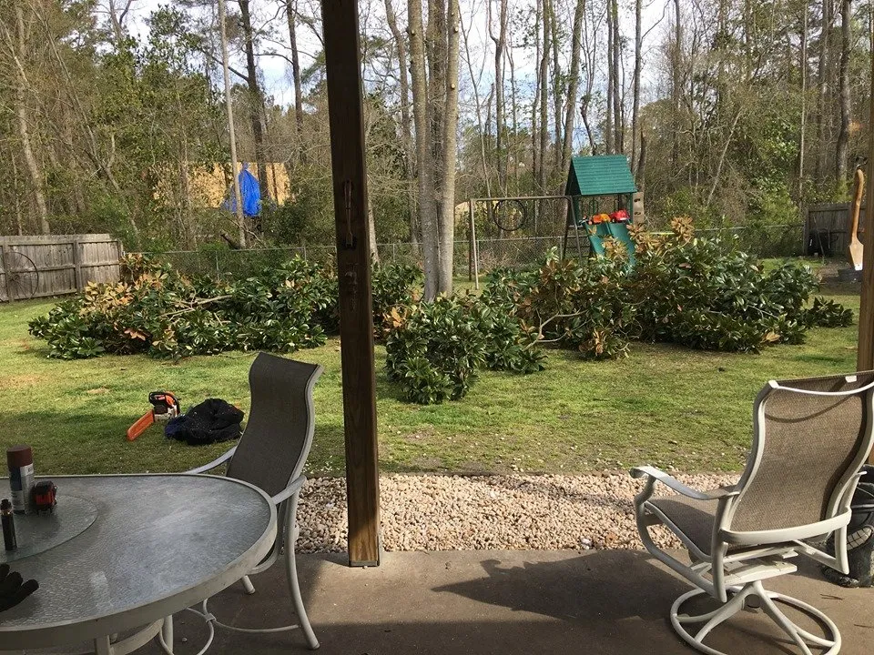 Trusted residential landscaping for outdoor upgrades in Wilmington, NC by Mighty Oak