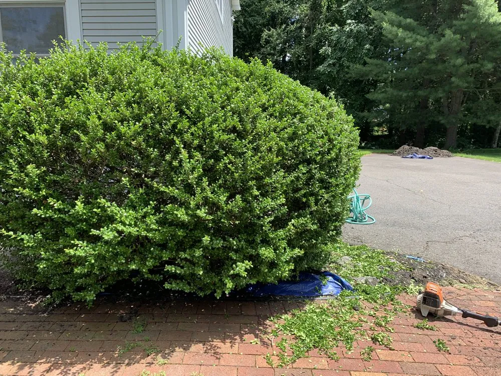 Trusted landscape design experts serving Waterbury, CT - Mighty Solutions