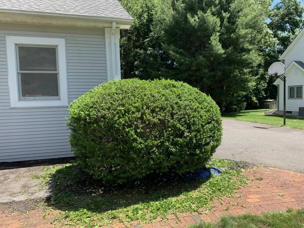 Custom garden landscaping for outdoor upgrades across Waterbury, CT - Mighty Solutions