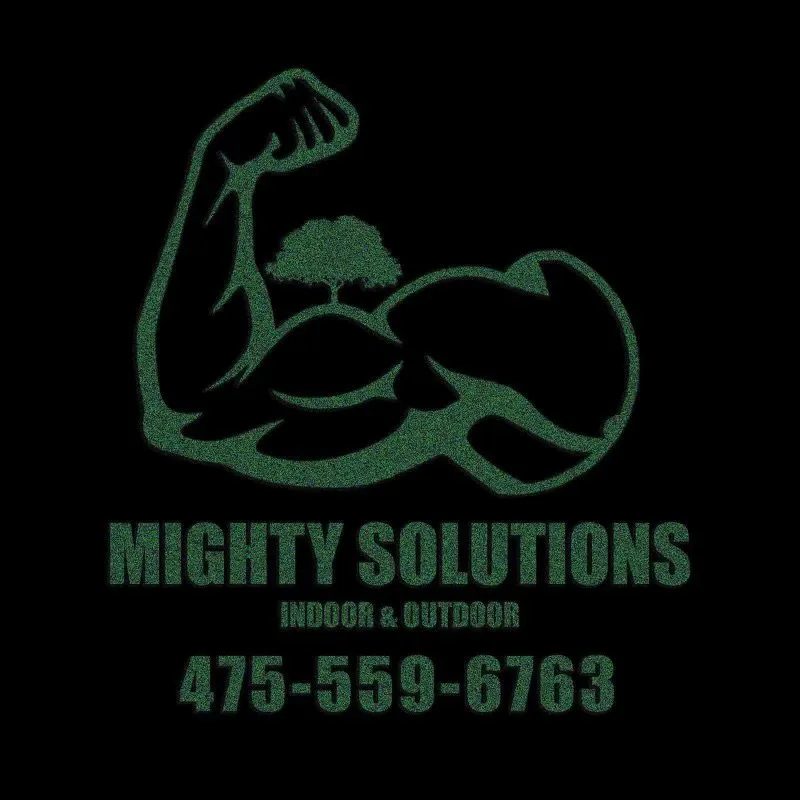 Custom yard cleanup service for beautiful yards across Waterbury, CT - Mighty Solutions