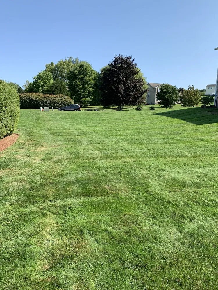 Top-rated residential landscaping with custom design in Waterbury, CT by Mighty Solutions