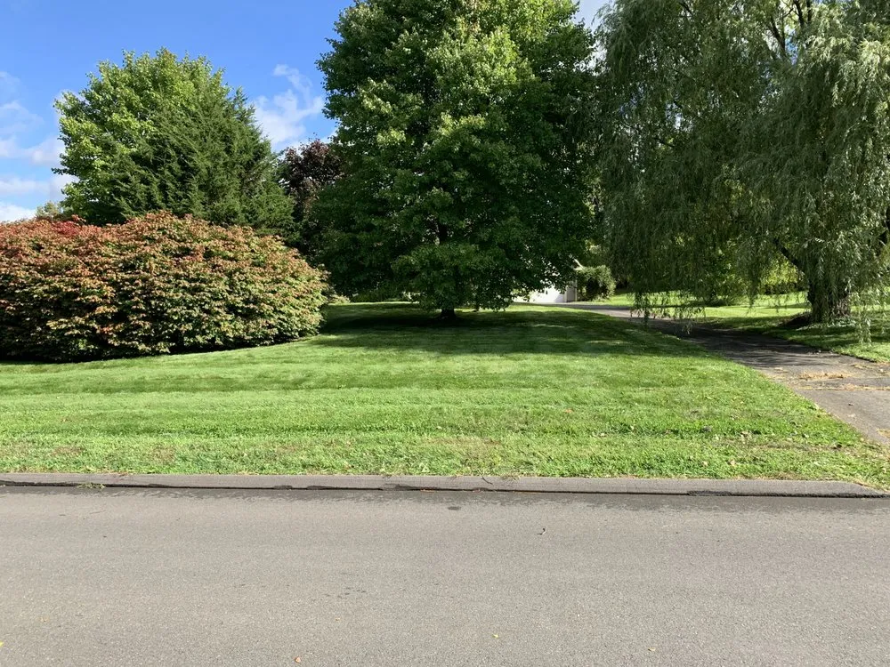 Affordable yard maintenance near you in Waterbury, CT by Mighty Solutions