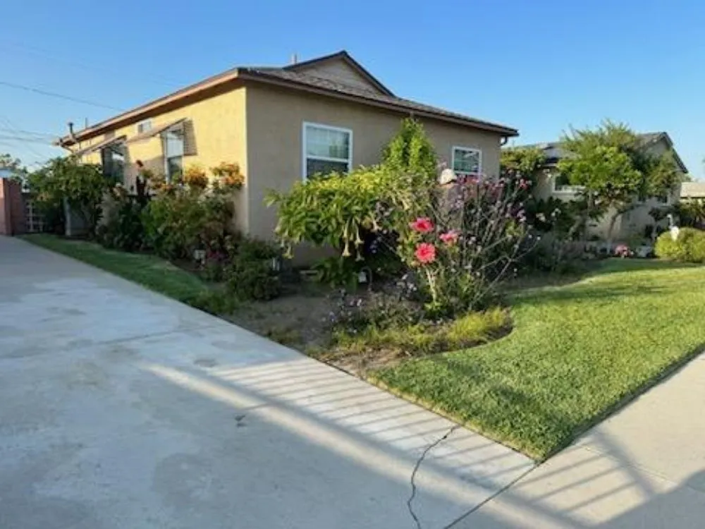 Professional yard cleanup service in Downey, CA - Migi's Landscapeing