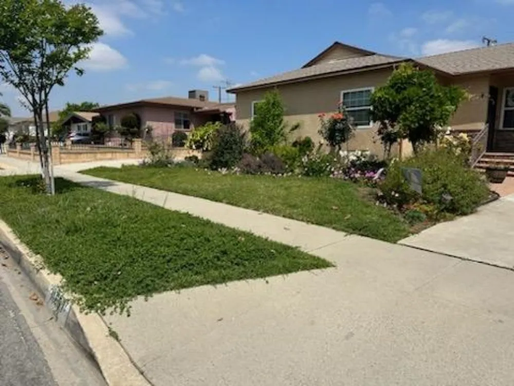 Top-rated yard maintenance experts serving Downey, CA - Migi's Landscapeing