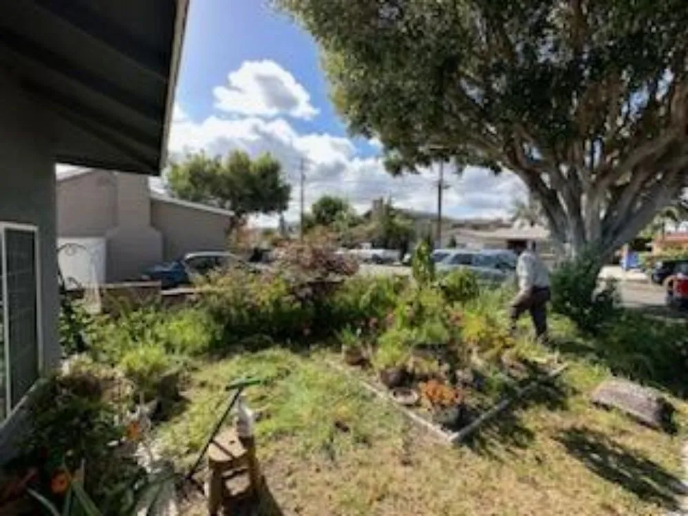 Reliable landscape design experts serving Downey, CA - Migi's Landscapeing