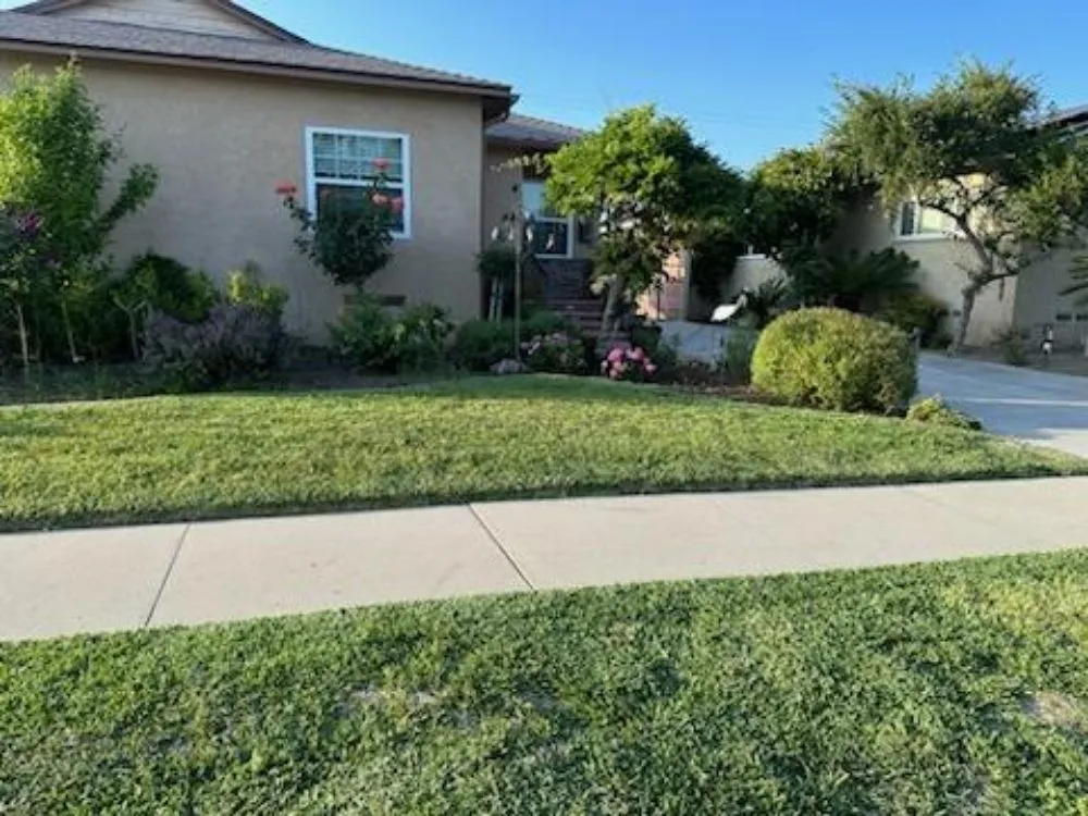 Affordable residential landscaping with custom design in Downey, CA by Migi's Landscapeing